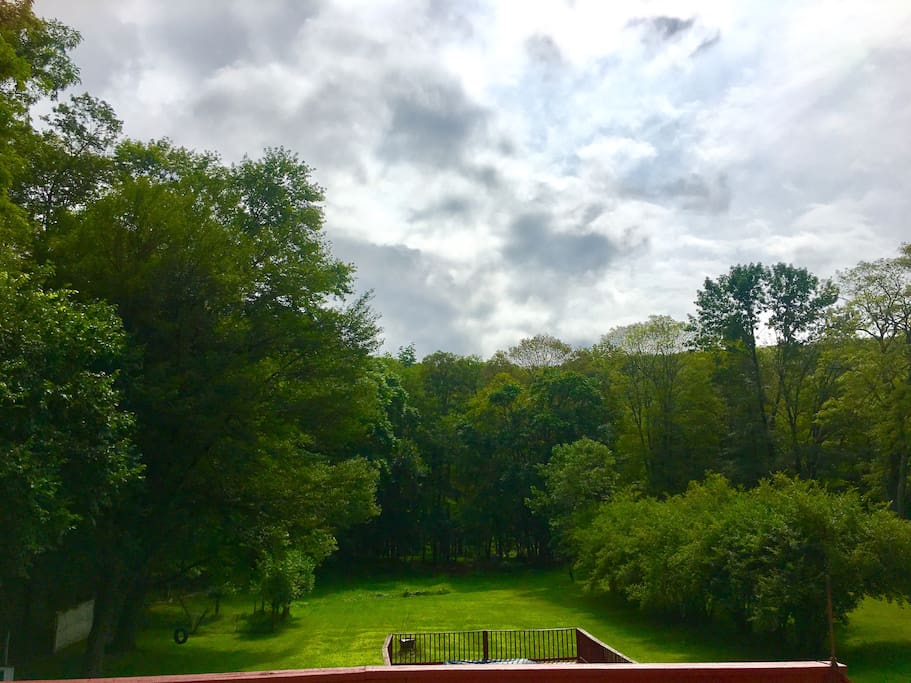 Take a walk in the backyard on our 2 acres