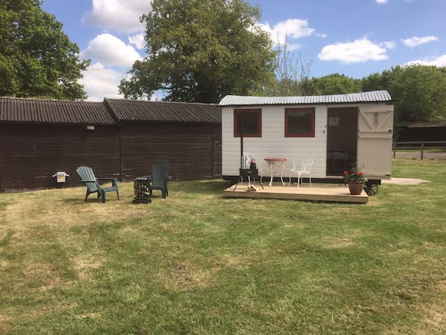 Friendship Cottage Glamping
The shepherds hut