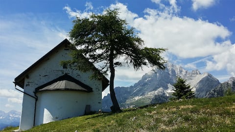 In spite of everything is a B&B backside