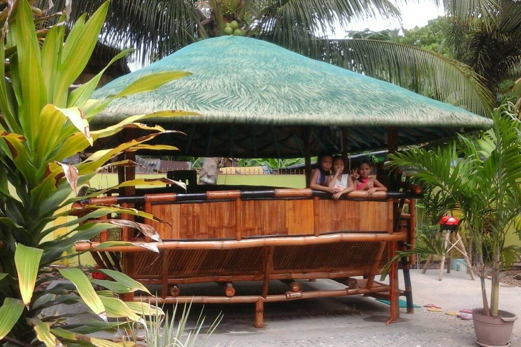 This is the summer house