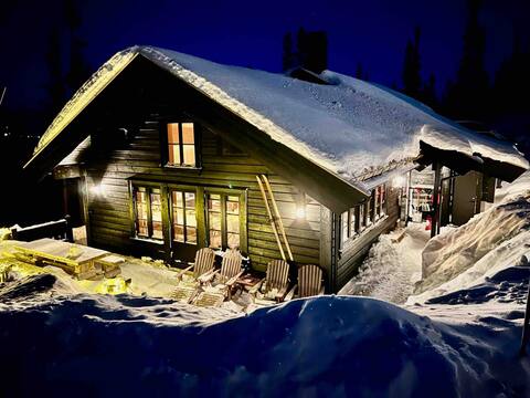 New beautiful cabin at Gaustablikk