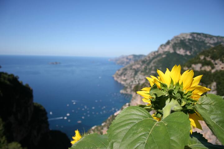 fall in love in villa sofia!!