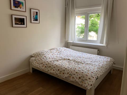 Spacious room in nice apartment