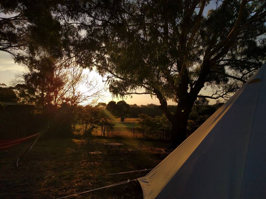 Room with a view!