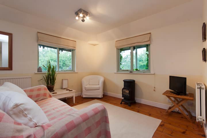 Dartmoor Romantic Sunny Garden Cottage+wifi - Buckfastleigh