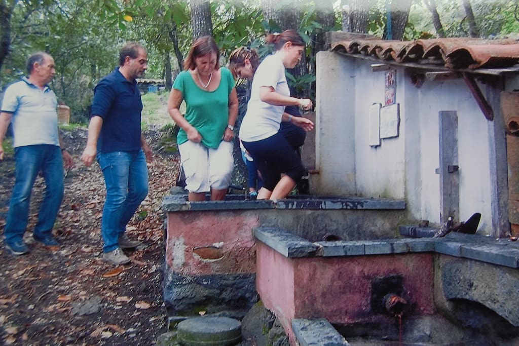Pressing the grapes with the feet.