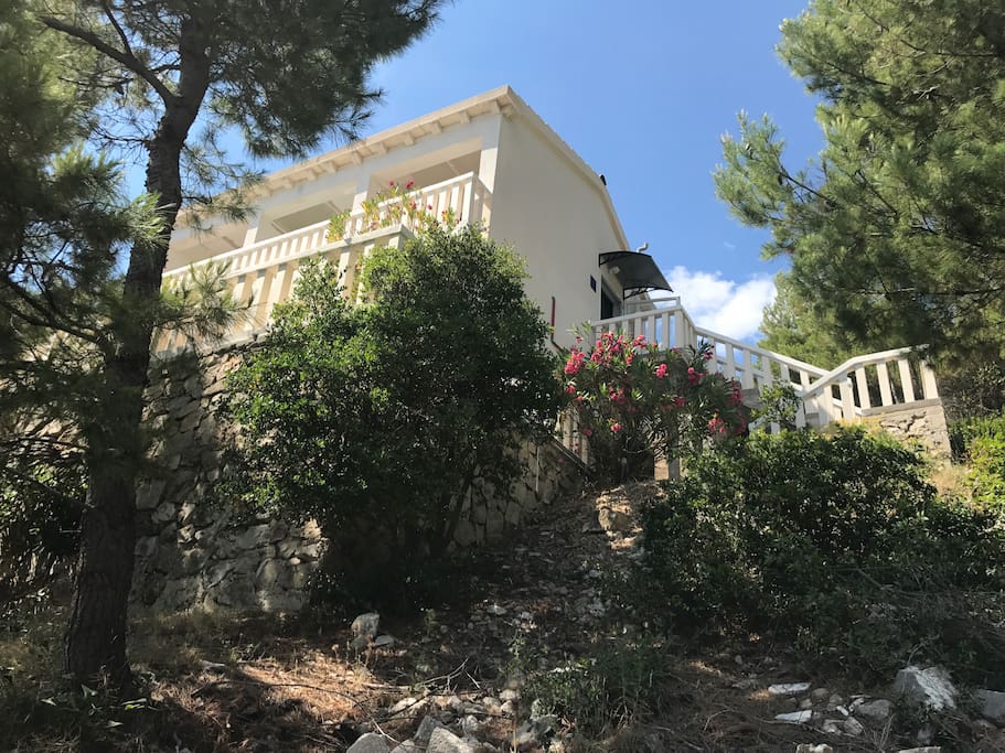 House Villa Victor