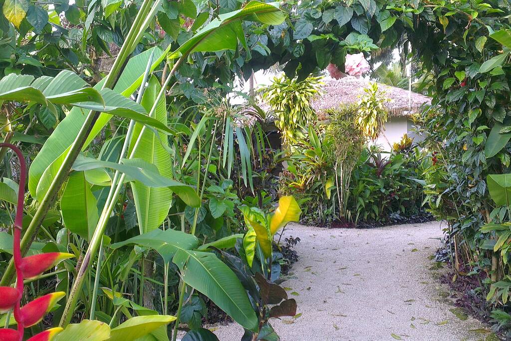 Garden and Bungalow