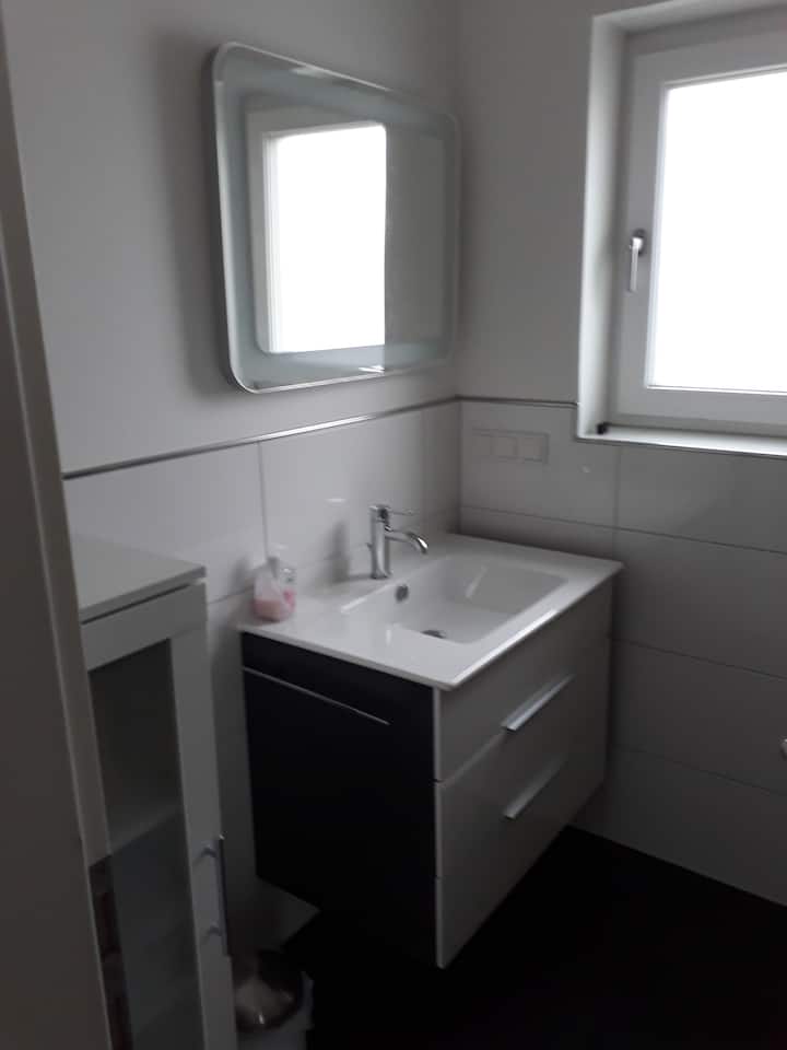 Modern single apartment in Ludwigshafen