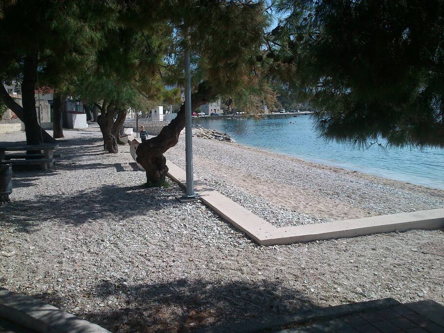 The beach