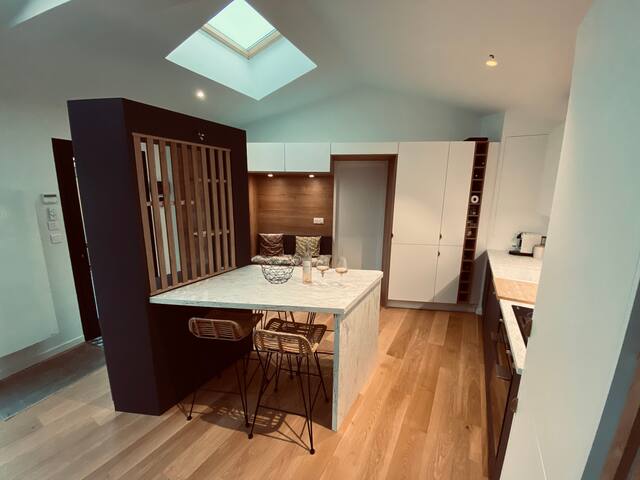 Bordeaux / Maison de ville avec grand jardin