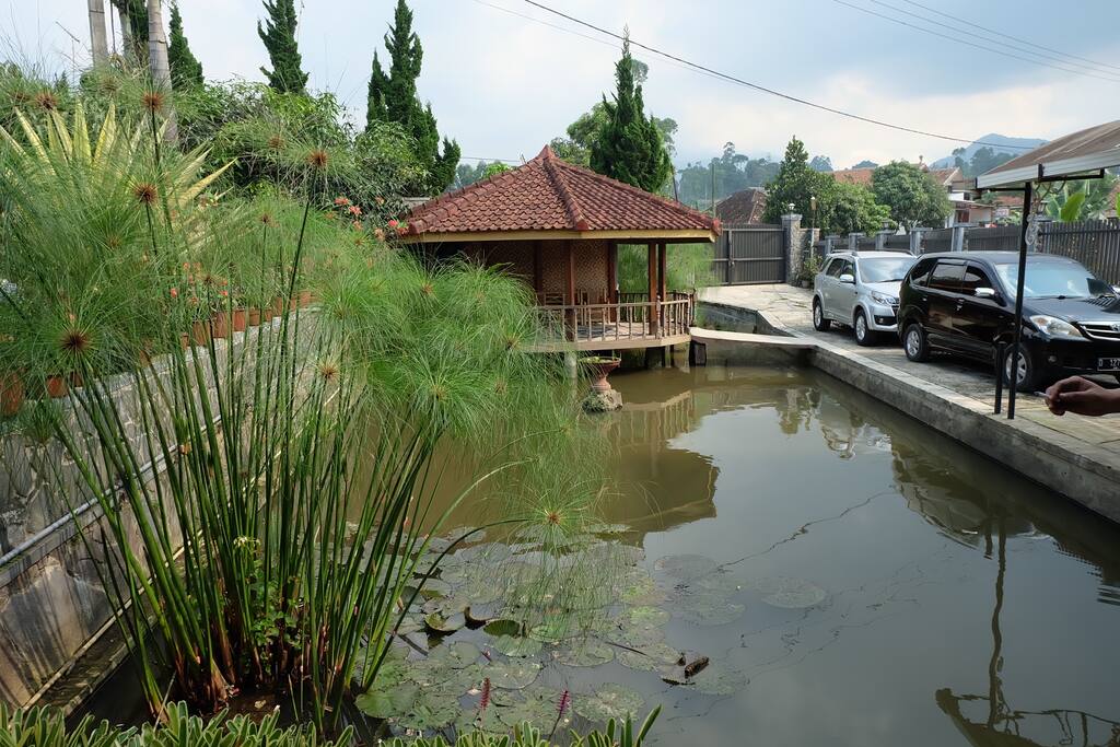 Kolam pemancingan