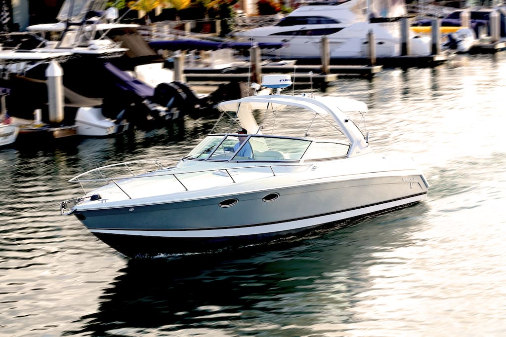 Catalina Cruiser Newport Beach Catalina Cruiser Newport Beach
