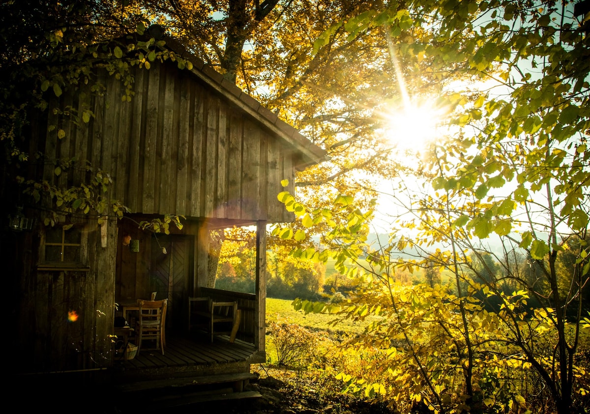 A rustic wooden cabin is nestled among vibrant autumn foliage. Sunlight filters through the leaves, creating a warm ambiance. A small porch with a table and chairs invites relaxation amid nature, enhancing the peaceful setting.