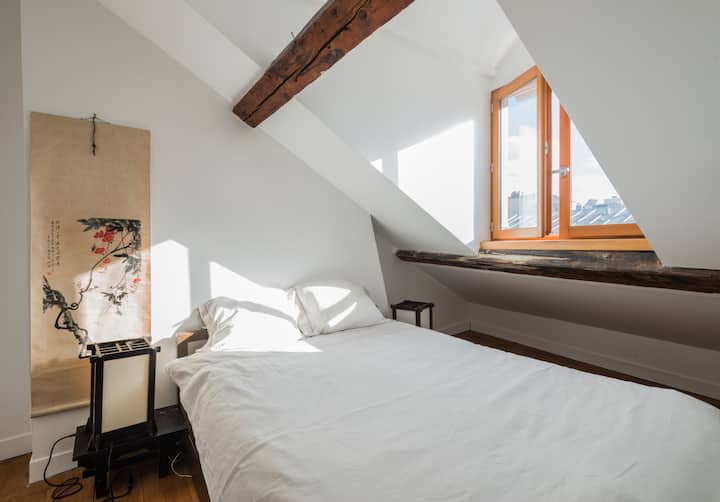 Bright apartment in Paris center