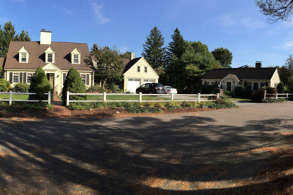 Main Property