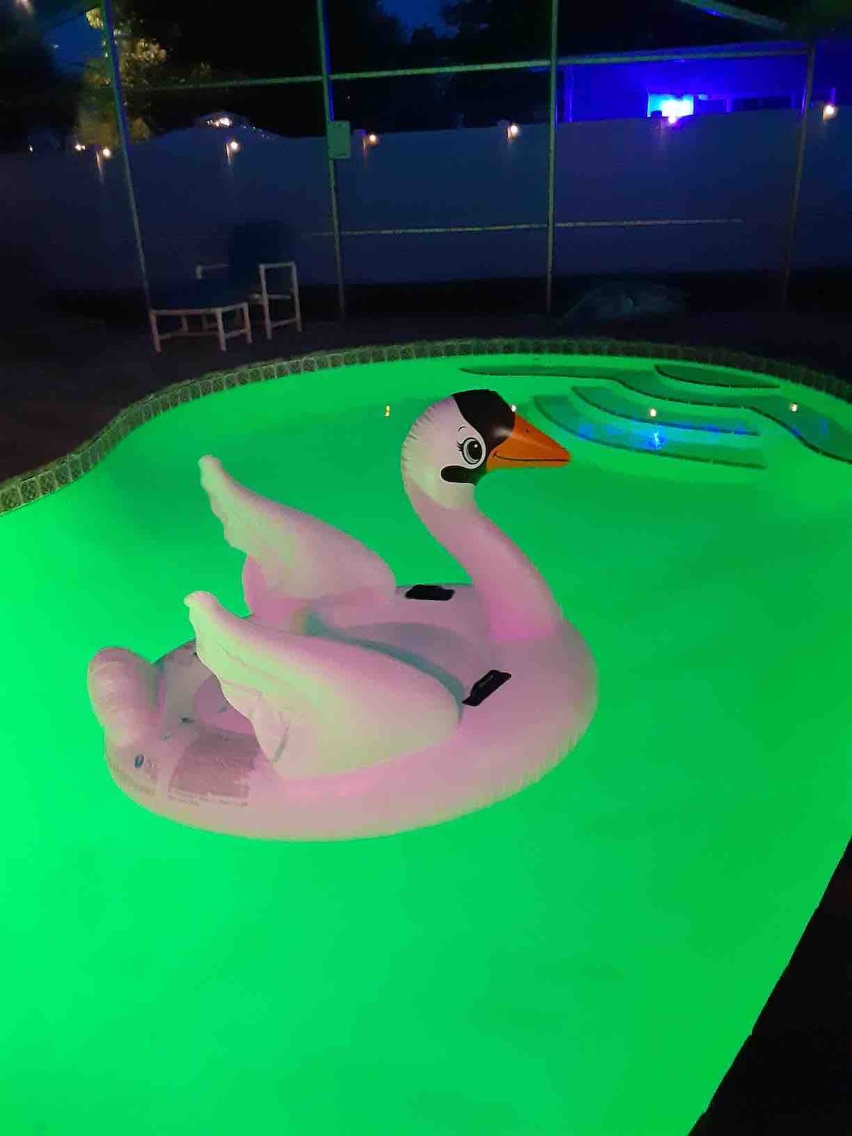 A vibrant green pool is illuminated at night, featuring a large inflatable swan float. The pool area is enclosed, providing a sense of privacy. Soft ambient lighting is visible in the background, contributing to a relaxed atmosphere.