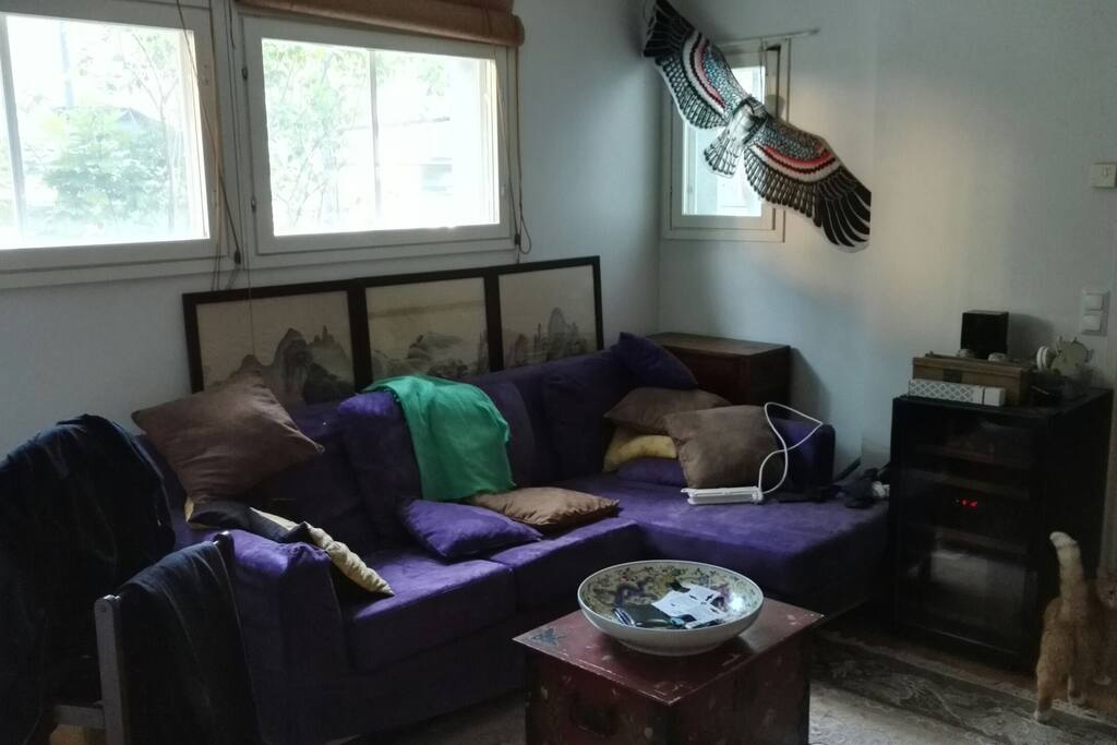 Downstairs living room