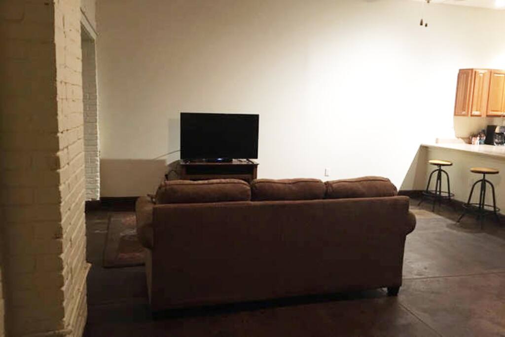 Large living room area with sleeper couch.