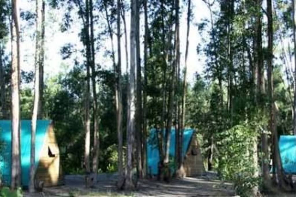 THE BUSHCAMP /HUTS