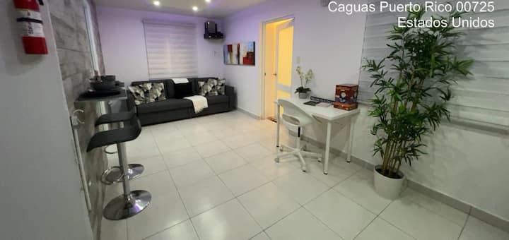 Romantic Central Apartment With Wi-fi And Jacuzzi - Caguas
