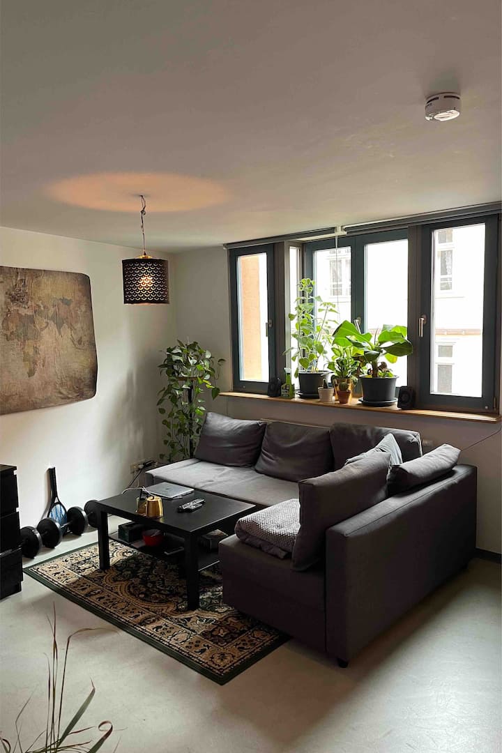 Vermietung von Wohnungen in Marburg Vermietung von Unterkünften und