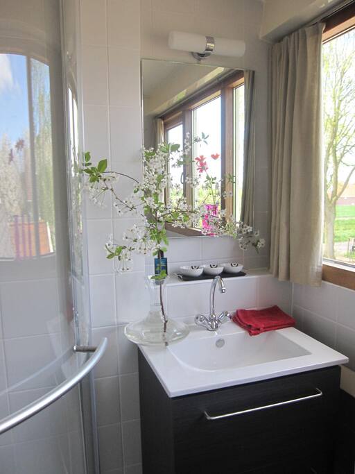 own toilet and shower for room 1