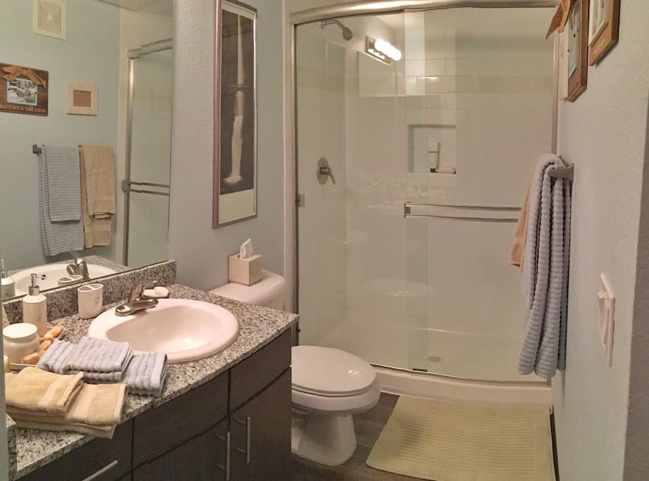 Guest Bathroom