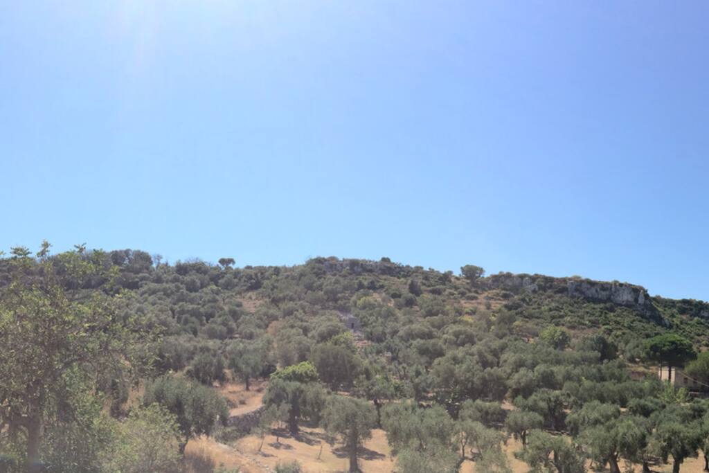 Paesaggio dalla terrazza sul parco naturale.
