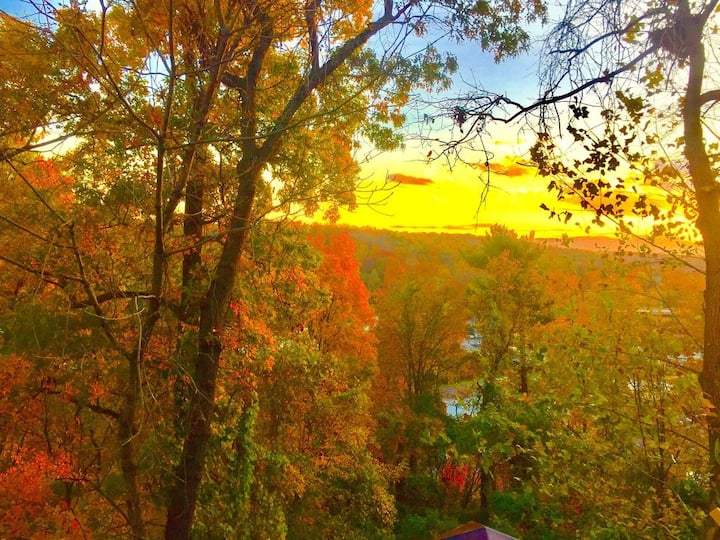 500 Asheville Cabin Rentals Airbnb