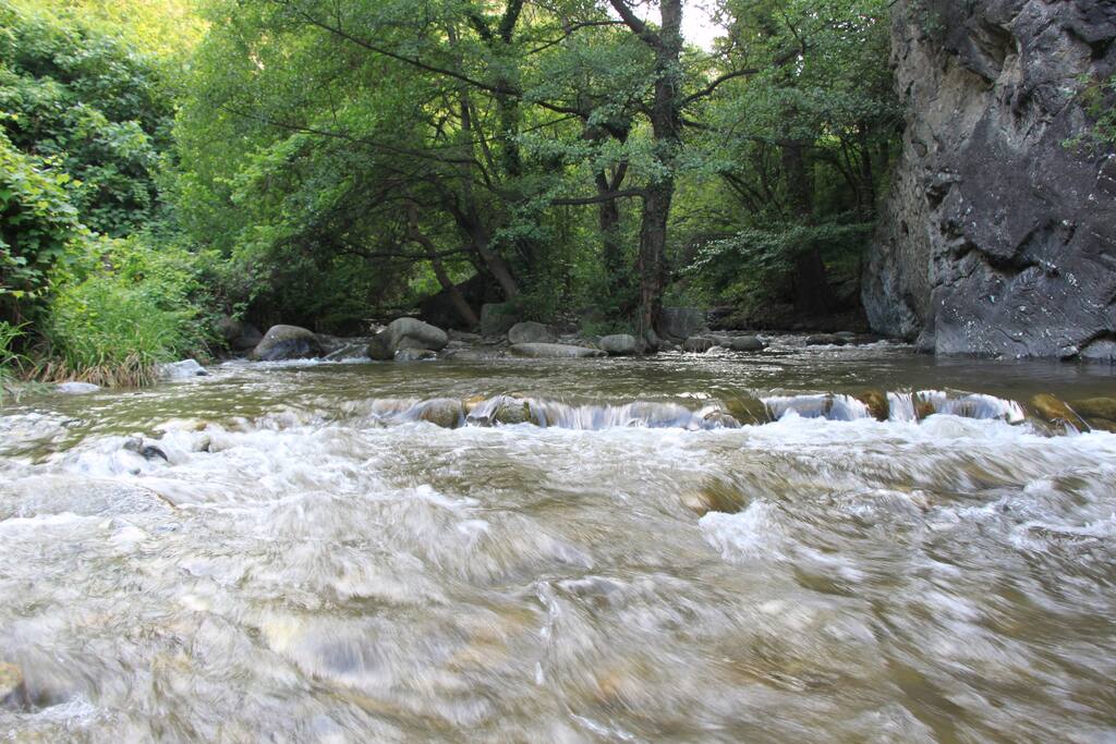 La rivière