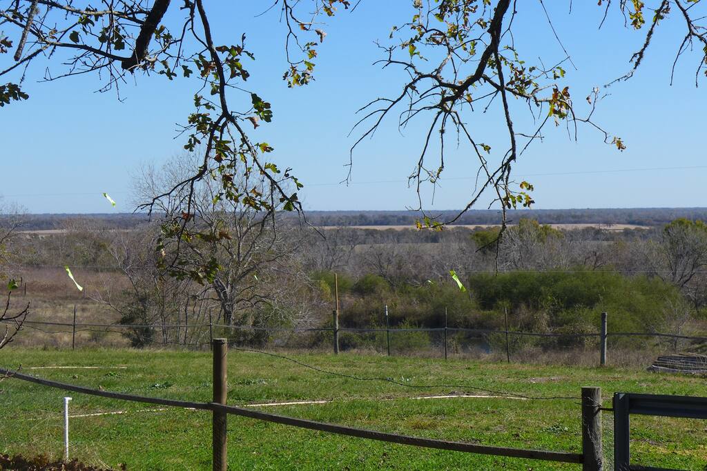 View from backyard