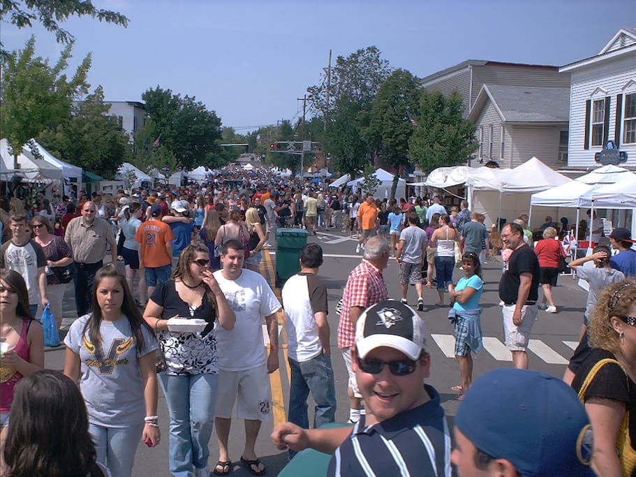 Lots to see and do at the many music and art festivals.