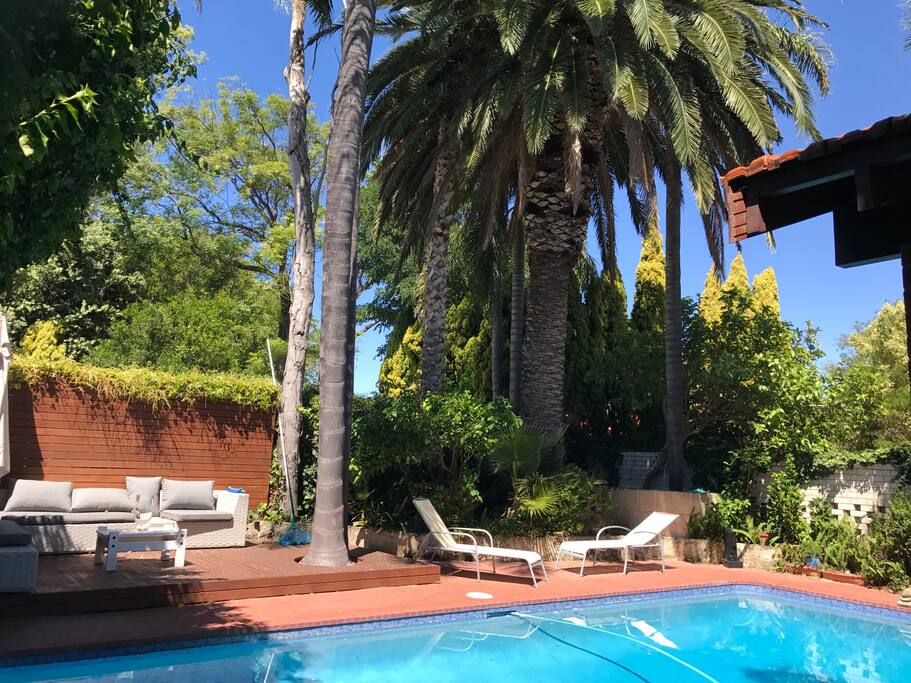 Back garden overlooking enormous trees