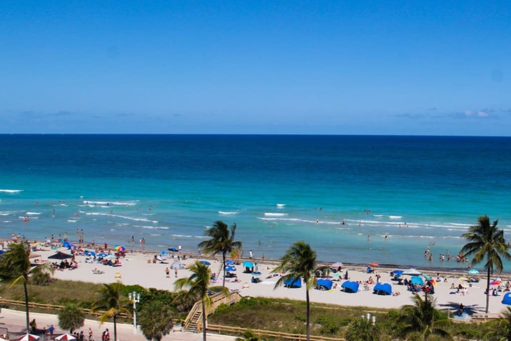 Hollywood beach