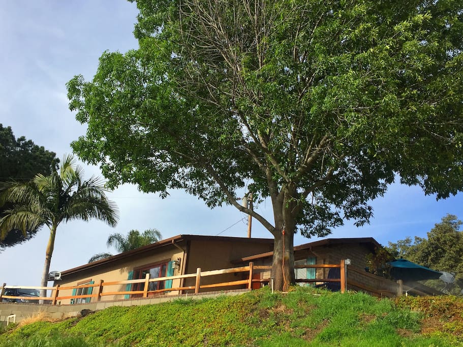 Guesthouse