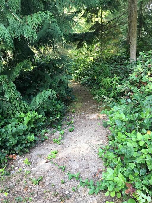 Nature beckons.... Trail head is behind house.