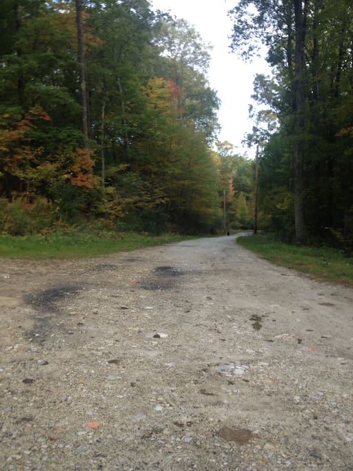 Over half a mile long driveway. Watch for frequent deer sightings!