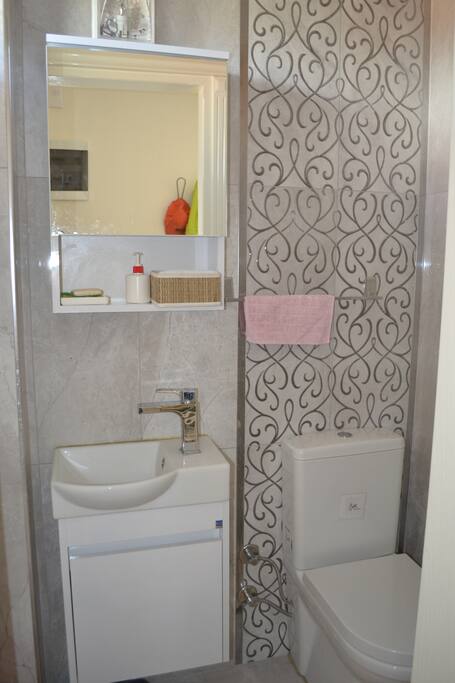 toilet