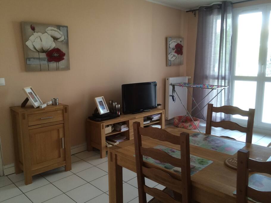 Télévision avec la TV d'orange. WIFI par la fibre. Accès au balcon (10m2) par le salon.