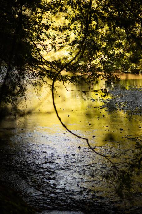 Tranquil Austin Creek