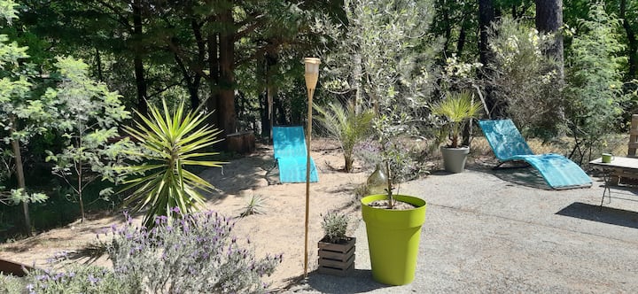 Mon Petit Coin Sous Les Pins - Bassin d'Arcachon