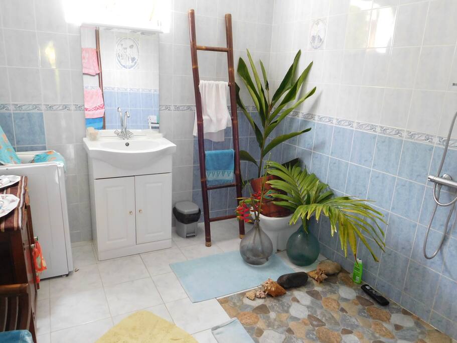 Douche à l'italienne