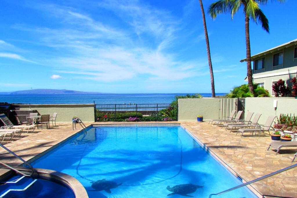 Pool, Spa and BBQ Area