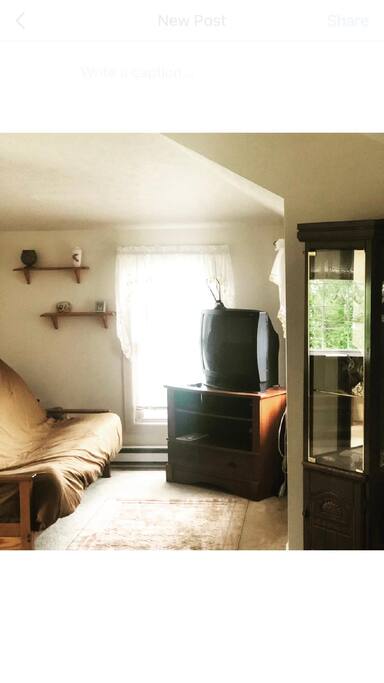 Living room with futon