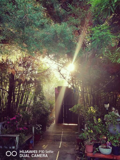 La entrada de "LA COMARCA"