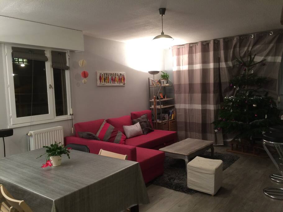 Salon chaleureux donnant sur balcon.
Le canapé se déplie et se transforme en lit double.