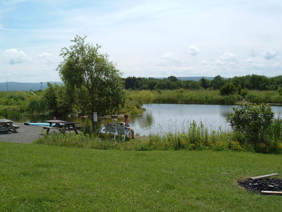 Our swimming pond