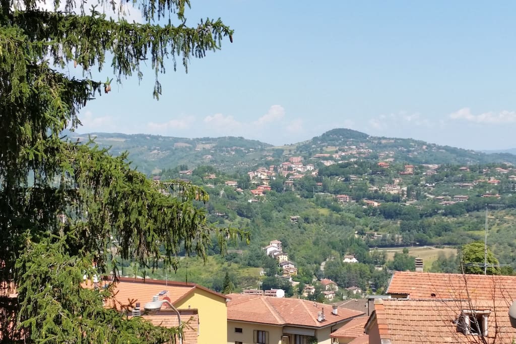 panorama