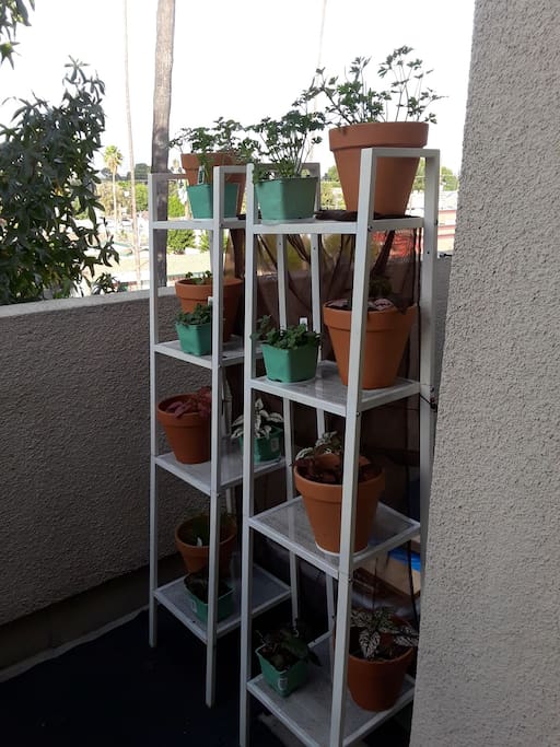 Deck with plant divider of Herbs & Flowers.